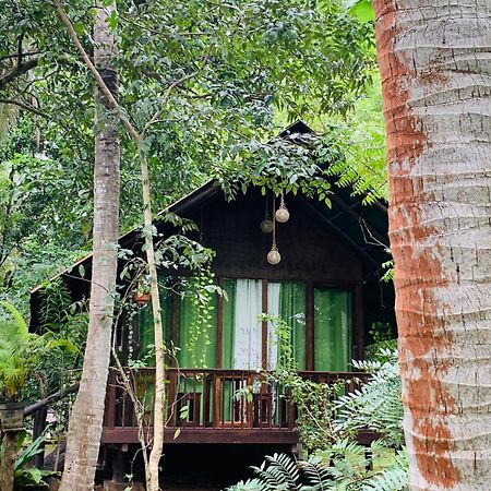 Nature World Jungle Paradise 达瓦拉维 外观 照片