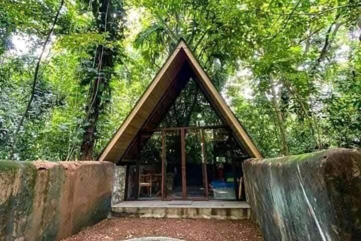Nature World Jungle Paradise 达瓦拉维 外观 照片