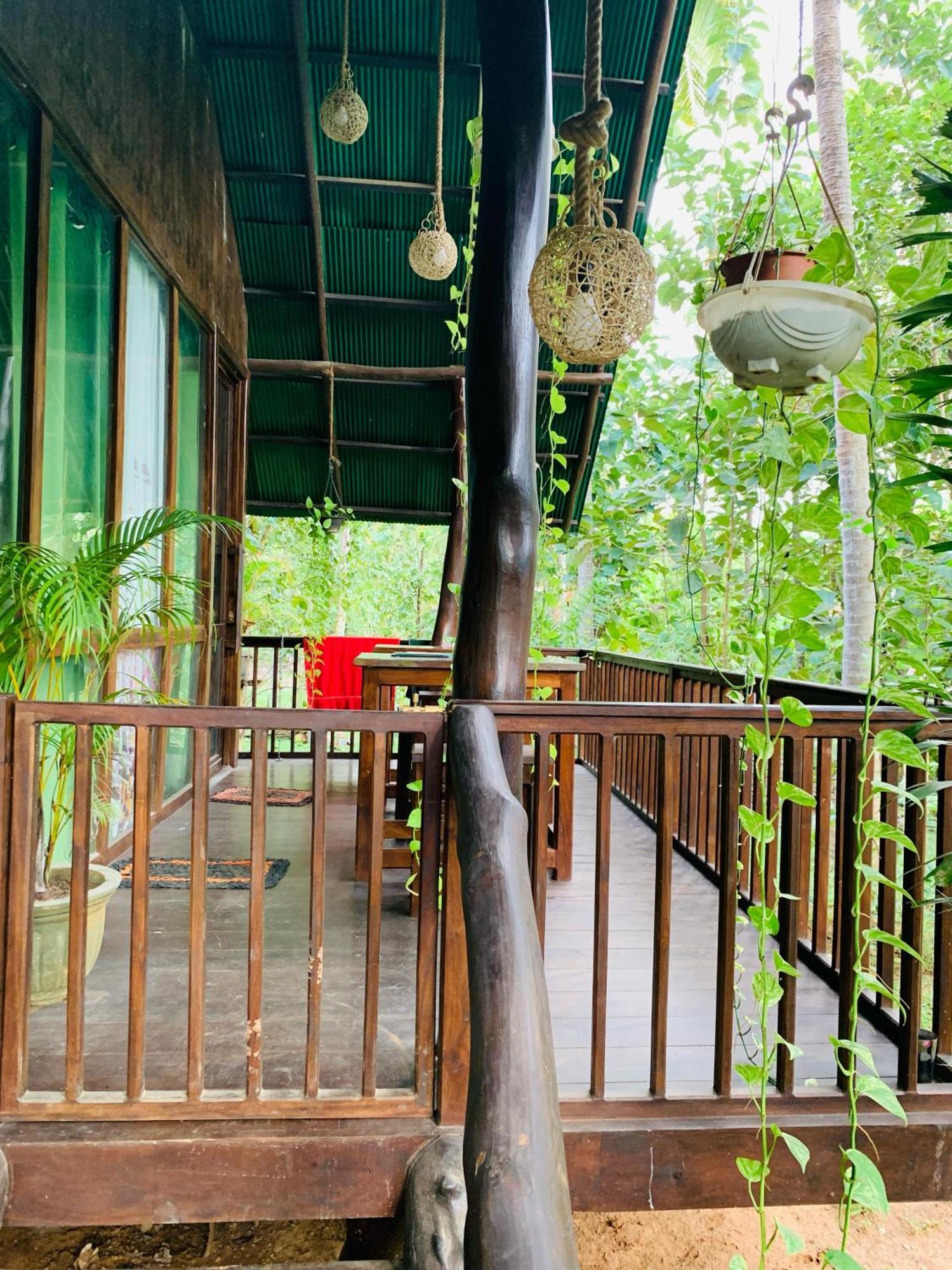 Nature World Jungle Paradise 达瓦拉维 客房 照片