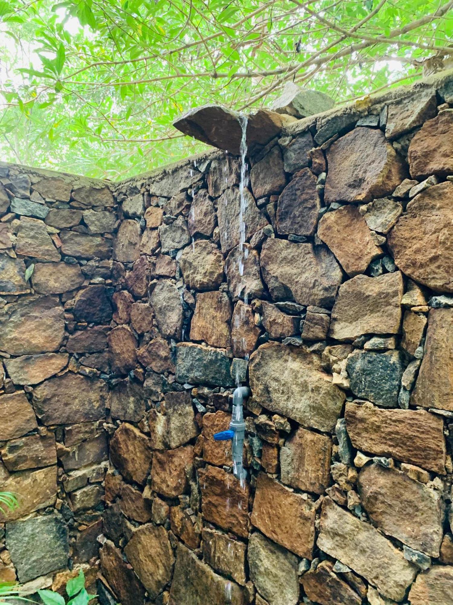 Nature World Jungle Paradise 达瓦拉维 客房 照片
