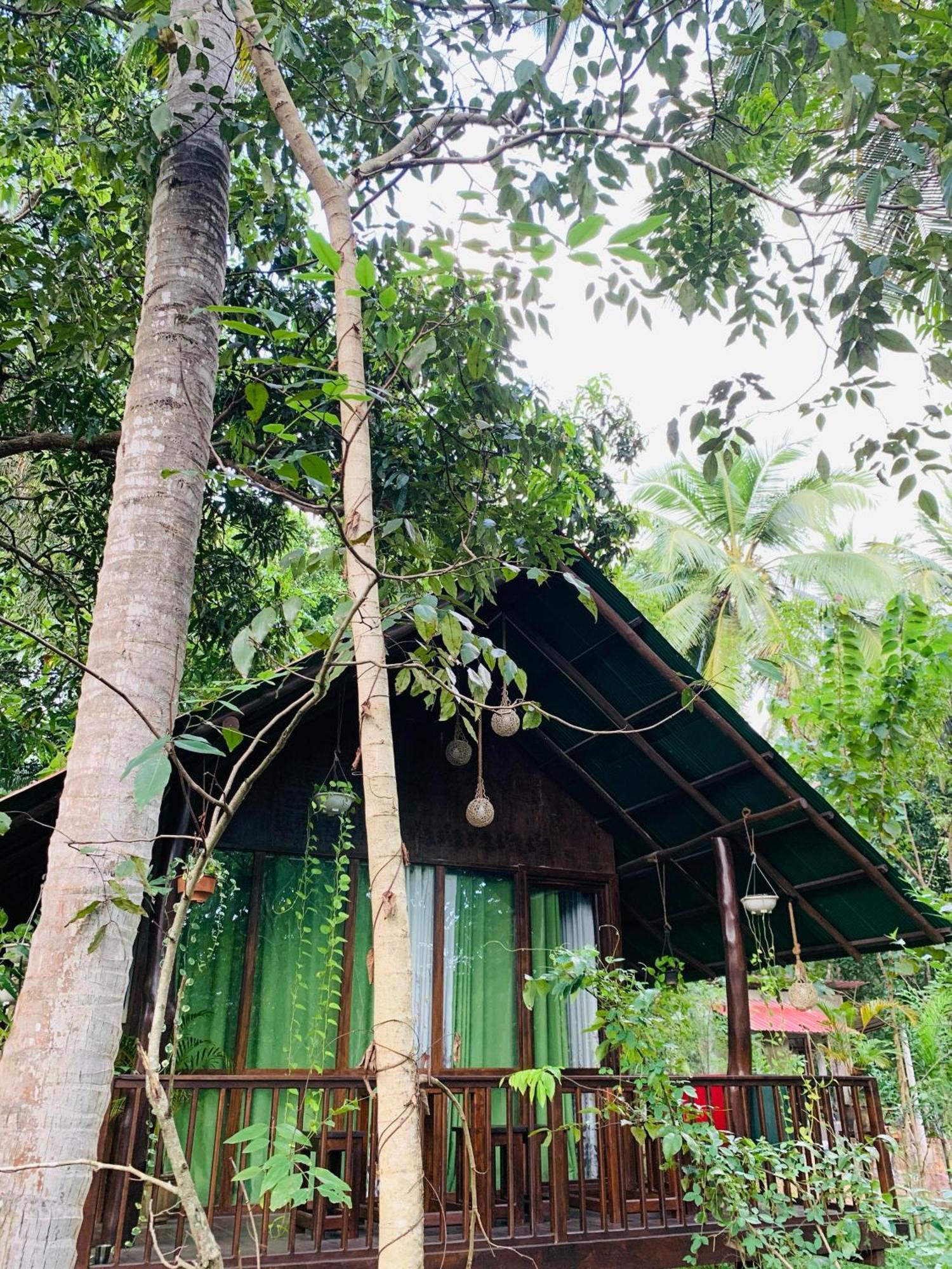 Nature World Jungle Paradise 达瓦拉维 客房 照片