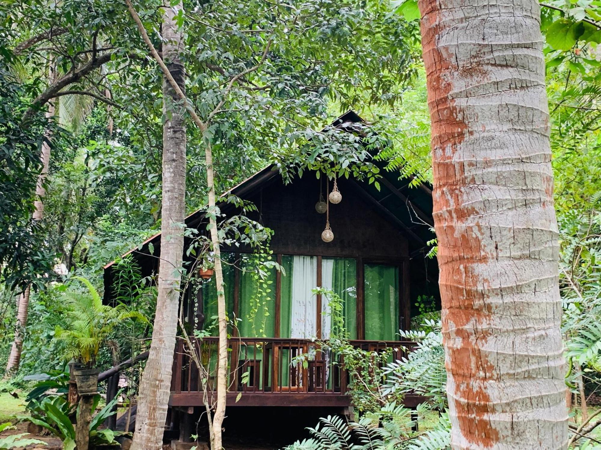 Nature World Jungle Paradise 达瓦拉维 外观 照片