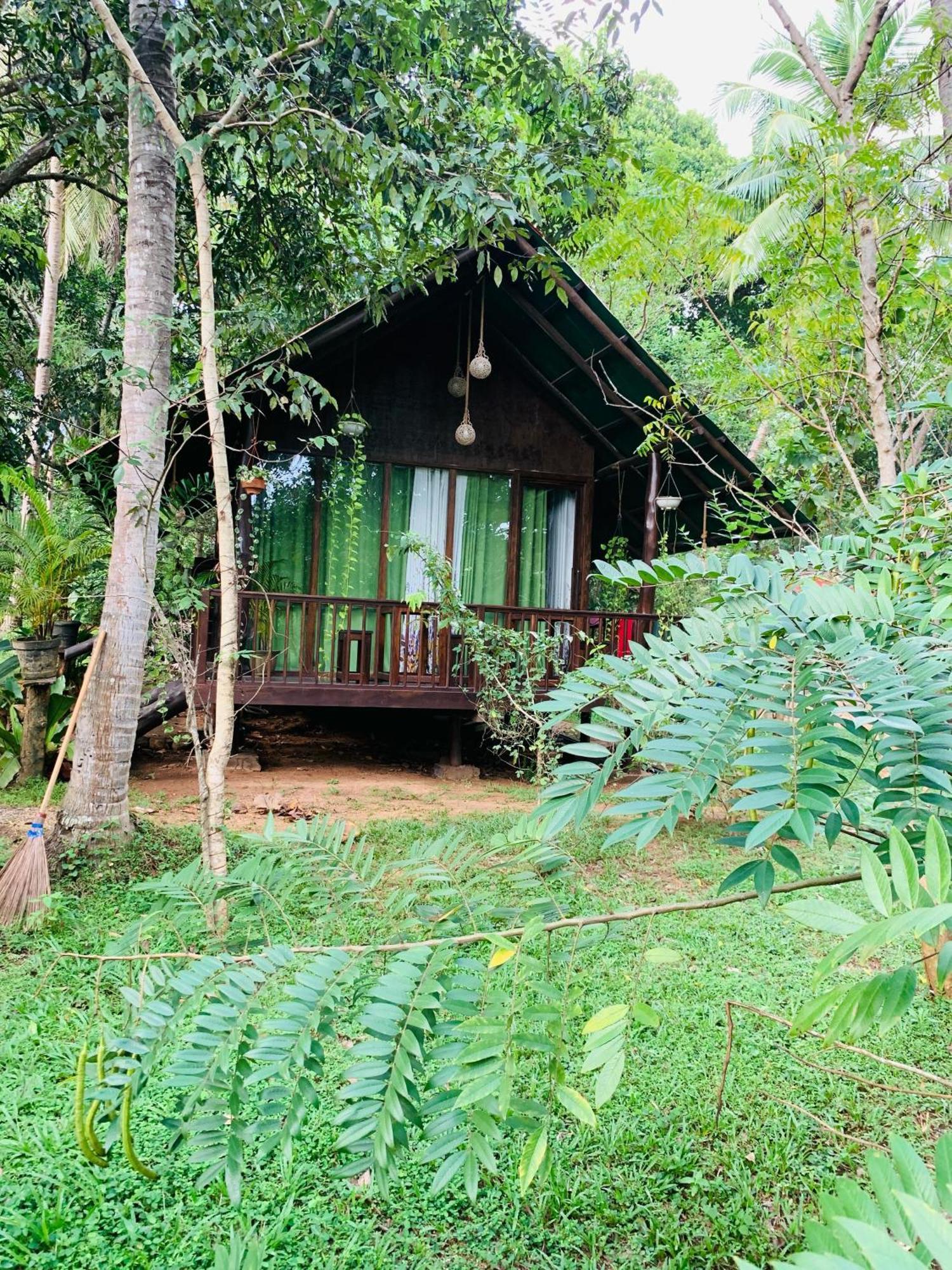 Nature World Jungle Paradise 达瓦拉维 外观 照片